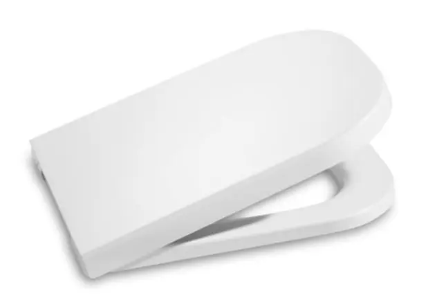 Roca - The Gap - WC-ülőke - A80148000U