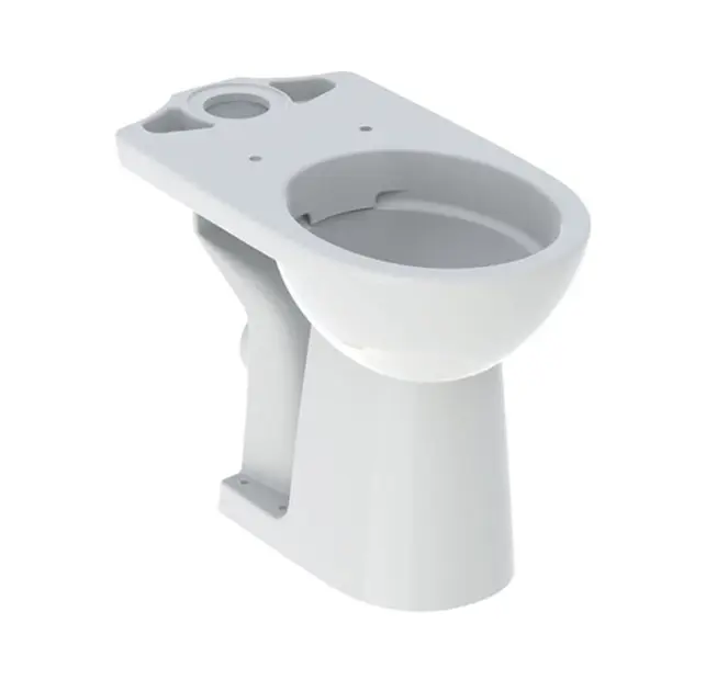 Geberit - Selnova Comfort - Kombi-WC - 500.486.01.7
